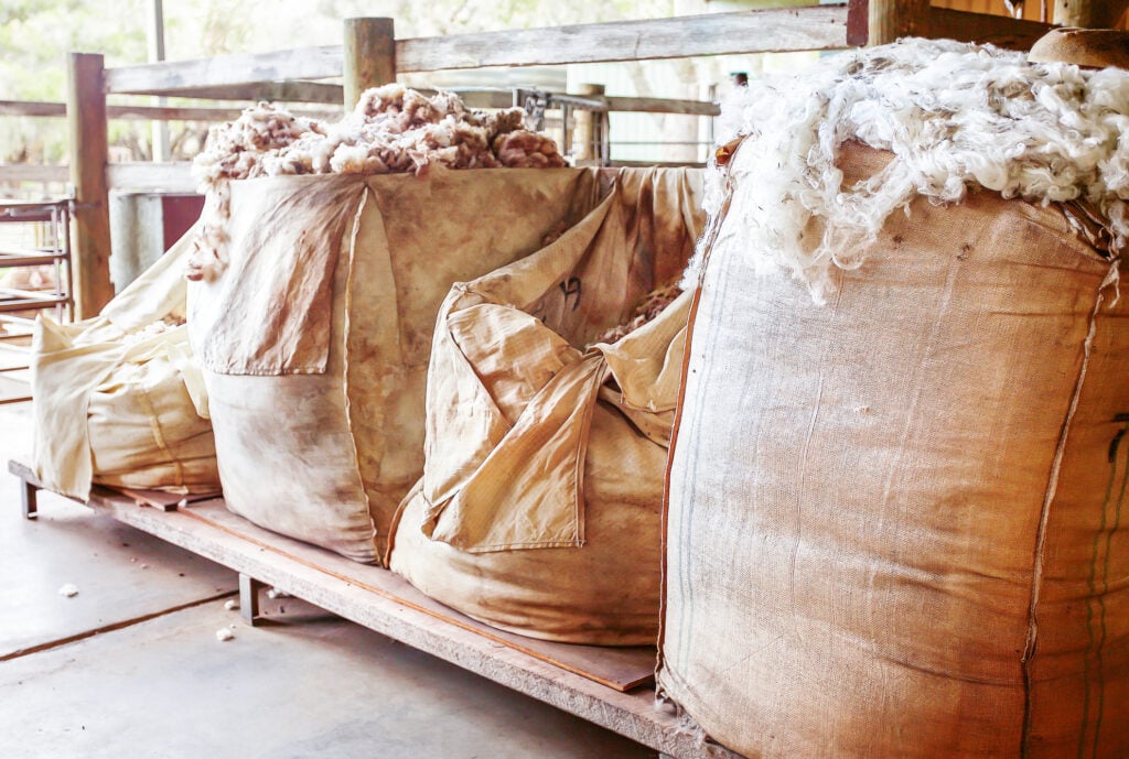 Australian Wool Innovation Client Success Story